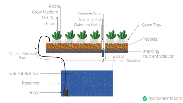 Ebb-Flow System illustrated