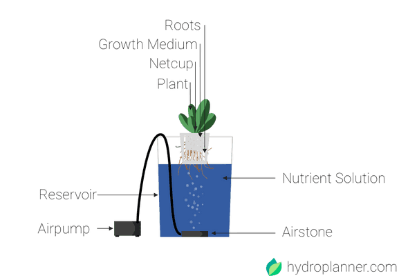 a small deep water culture hydroponics system
