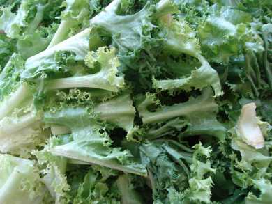 Endive