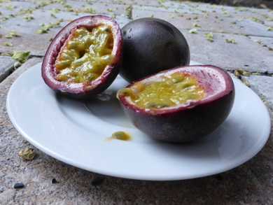 Passionfruit