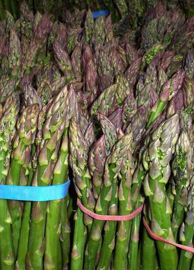 Asparagus