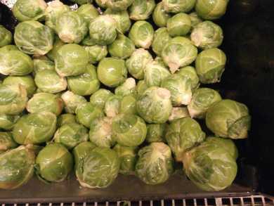 Brussels Sprout
