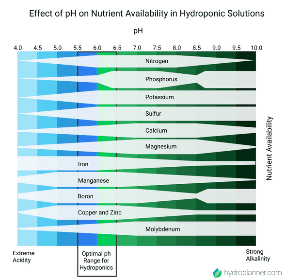 The Effect of pH on Nutrient Availability in Hydroponic Solutions