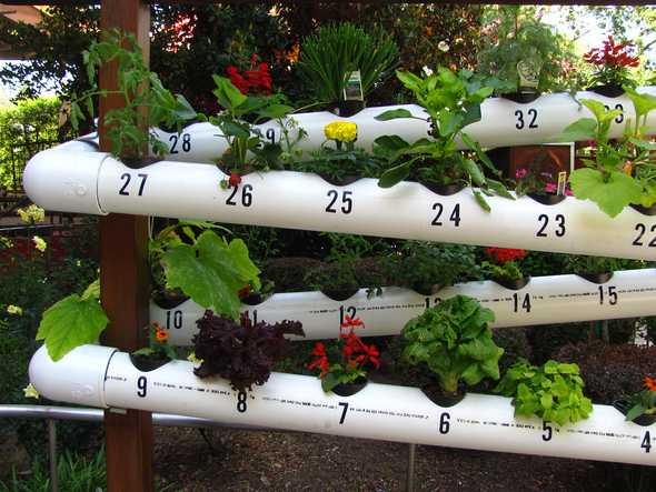 "Gilroy Gardens" by Roller Coaster Philosophy is licensed under CC BY 2.0.