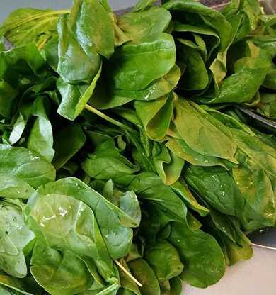 Spinach