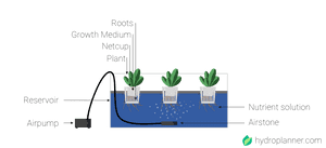 Hydroponics where to start - DYI Guide for hydroponics at home