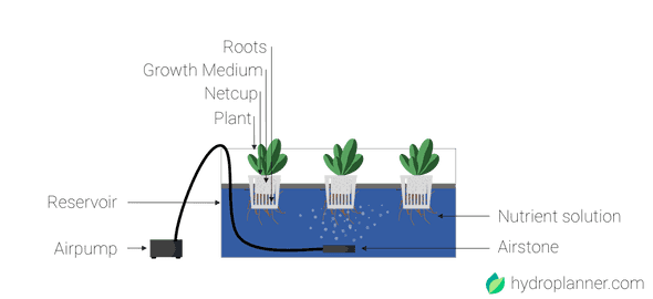 A Deep Water Culture System