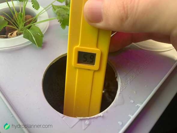 Using an electric pH meter to measure the pH of a solution
