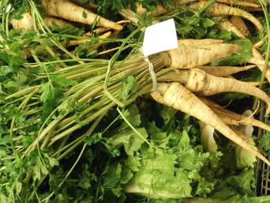Parsnip